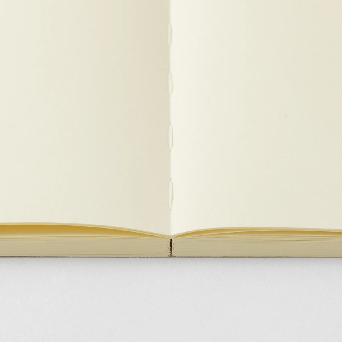 MD Notebook
