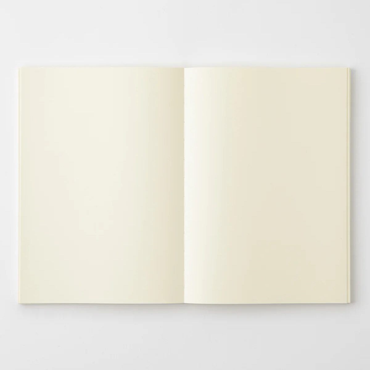 MD Notebook