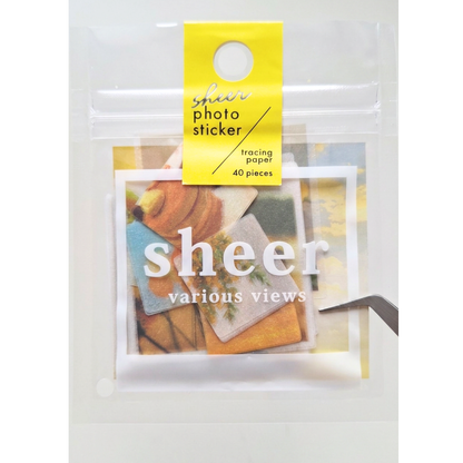 Mind Wave Seal Sheer Sticker Pack (Photo Sticker - Various Views)